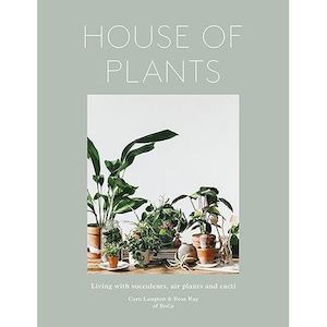Indoor Plants: House Of Plants