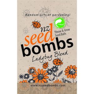 Indoor Plants: NZ Seed Bombs - Ladybug Blend