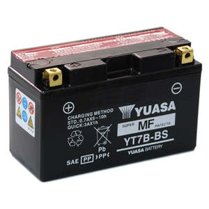 Consumables 1: Yuasa 12V Battery Rotax