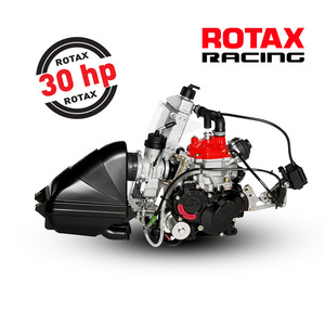 Engines 1: ROTAX Max 125 EVO - Senior