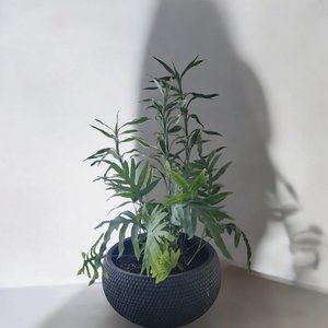 Products: Plant and Pot Arrangement indoor - Urban Roots