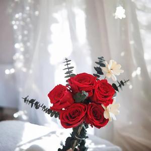 Products: Red Roses – Scarlet Serenity - Urban Roots