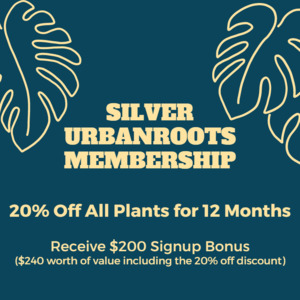 Silver UrbanRoots Membership - Urban Roots