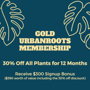 Products: Gold UrbanRoots Membership - Urban Roots