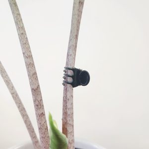 Products: 10 x Decorative Plant Clips - Urban Roots