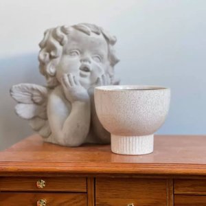 Products: Beautiful Orchid Ceramic Planter Light Pink 18cm - Urban Roots