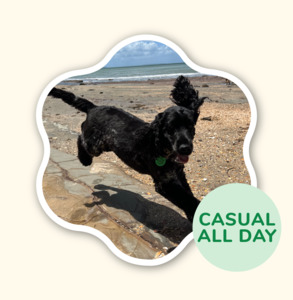 Full Day Adventure - Adrenaline Junky Walk