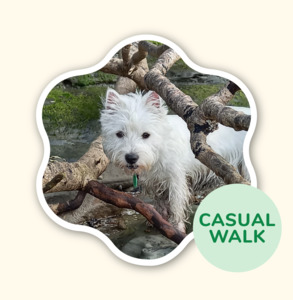 2 x Half Days – Scratch n Sniff Adventure Walk
