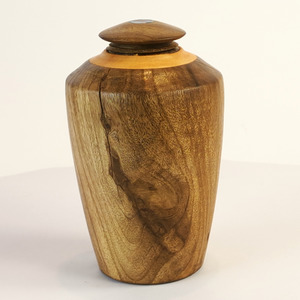 Display/Keepsake Mini- Puriri, Cypress, Paua #2502002