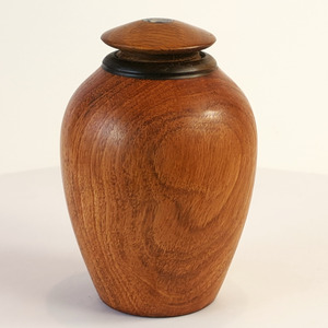 Display/Keepsake Mini- Pohutukawa, Eucalypt, Paua #2502001