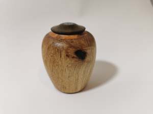 Display/Keepsake mini- Taraire, Puriri, Paua #2503001