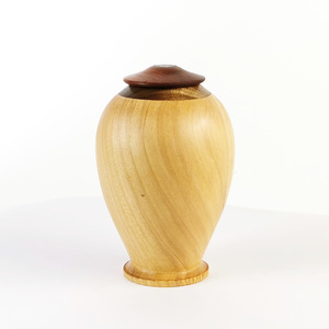 Display/Keepsake Mini- Cypress, Totara, Paua #2502030