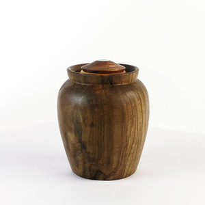 Sold: Display/Keepsake Mini- Puriri, Kauri, Paua #2502008