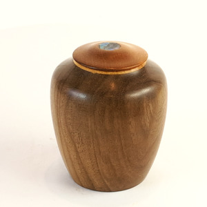 Sold: Display/Keepsake Mini- Puriri, Swamp Kauri, Paua #2501072