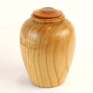Sold: Display/Keepsake Mini- Elm, Totara, Paua #2501068
