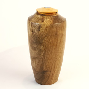 Sold: Display/Keepsake Mini- Puriri, Cypress, Paua #2501061