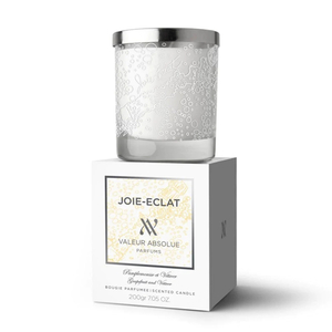 Candles: Valeur Absolue Joie-Eclat Scented Candle