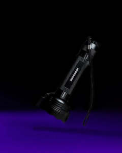 UV Flashlight