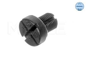 Hoses: BMW Radiator Hose Vent Screw