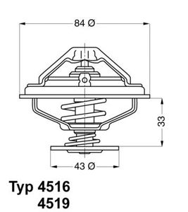 Thermostats: BMW Thermostat and Seal Engine Coolant