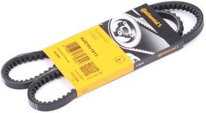 BMW V Belt
