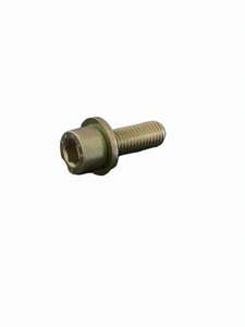 BMW Fillister Head Screw