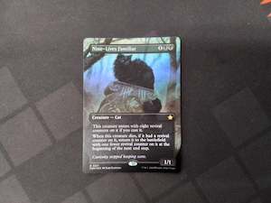 Magic The Gathering 1: Nine-Lives Familiar (Foil Borderless FDN)