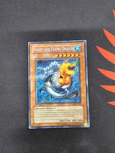 Frost and Flame Dragon (TAEV-EN033)