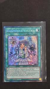 In Stock: Vaalmonica Scelta (VASM-EN036)