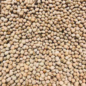 Dals Lentils: Toor Dal Whole White 500g
