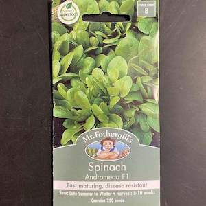 Garden Seeds: Mr. Fothergills Spinach Seeds