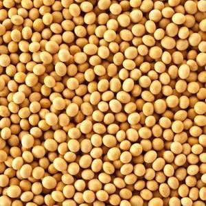 Dals Lentils: Soya Beans Whole  1KG New Zealand
