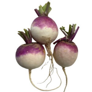 Fresh Produce: Turnip Shalgam 500g
