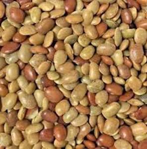 Dals Lentils: Horse Gram 500g
