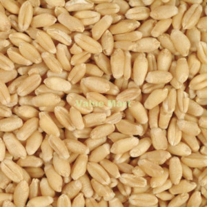 Dals Lentils: Whole Wheat 500g