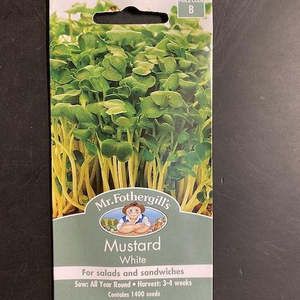 Garden Seeds: Mr. Fothergills White Mustard Seeds