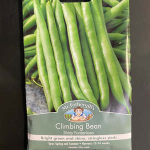 Mr. Fothergills Climbing Bean Seeds