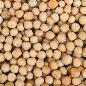 Dals Lentils: White Peas 500g
