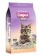 Catpro Plus Chicken & Beef