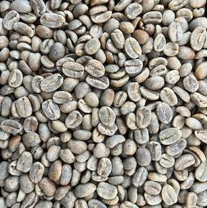 Green Coffee Beans - Jairo Arcila Santa Monica