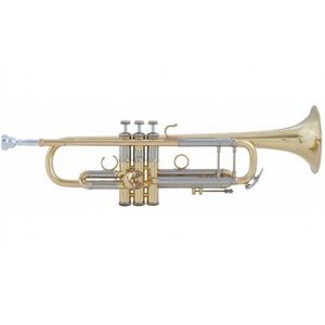 Bb Trumpets: Bach Stradivarius Artisan 190 Series