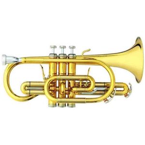 B&S 3142/2 – GL Brochon Bb Cornet
