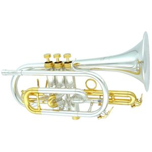 Cornet and Flugel: CarolBrass Bb Cornet 6880