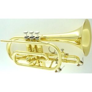 Buying your First Instrument: CarolBrass Cornet 2000 Student