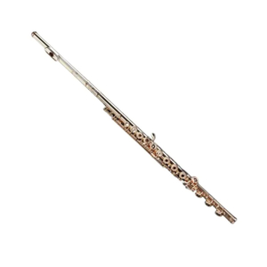 Flute: Di Zhao DZ 801 RBEO Flute