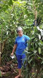 Videos: A Walk Through Vaoala Vanilla - Tips from Shelley