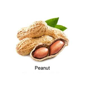 Concentrates: VAPELF – PEANUT – CONCENTRATED FLAVOURS – 10ML