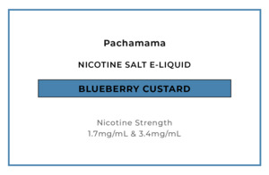 Pachamama Desserts - Blueberry Custard