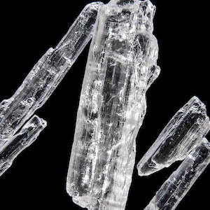 Popular: VE Premium - Peppermint Menthol(-273)