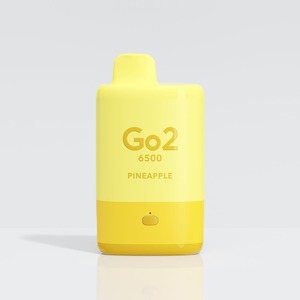 Go2 Disposable Vape